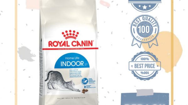 Top 10 Thức Ăn Hạt Cho Mèo Tốt Nhất 2026 — Review & So Sánh Chi Tiết