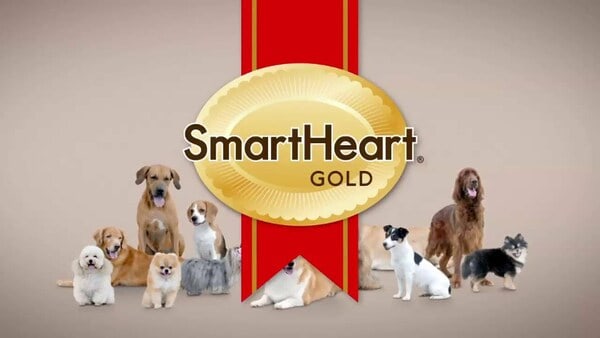 SmartHeart Gold Cat — 1.5kg