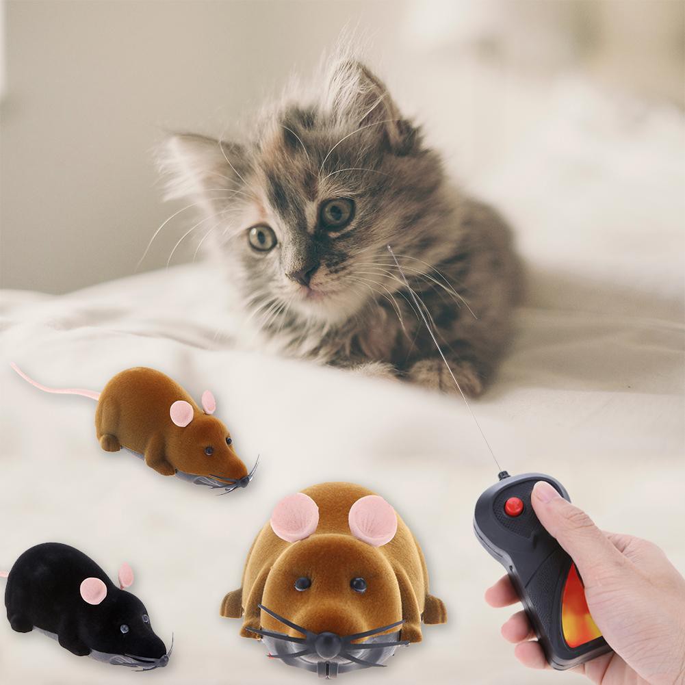 Chuột điện tự động cho mèo