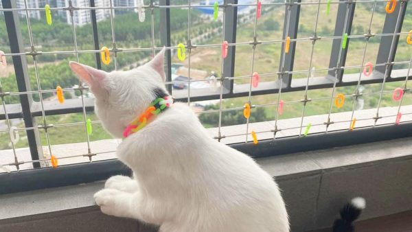Lưới chắn ban công cho mèo — tùy kích thước