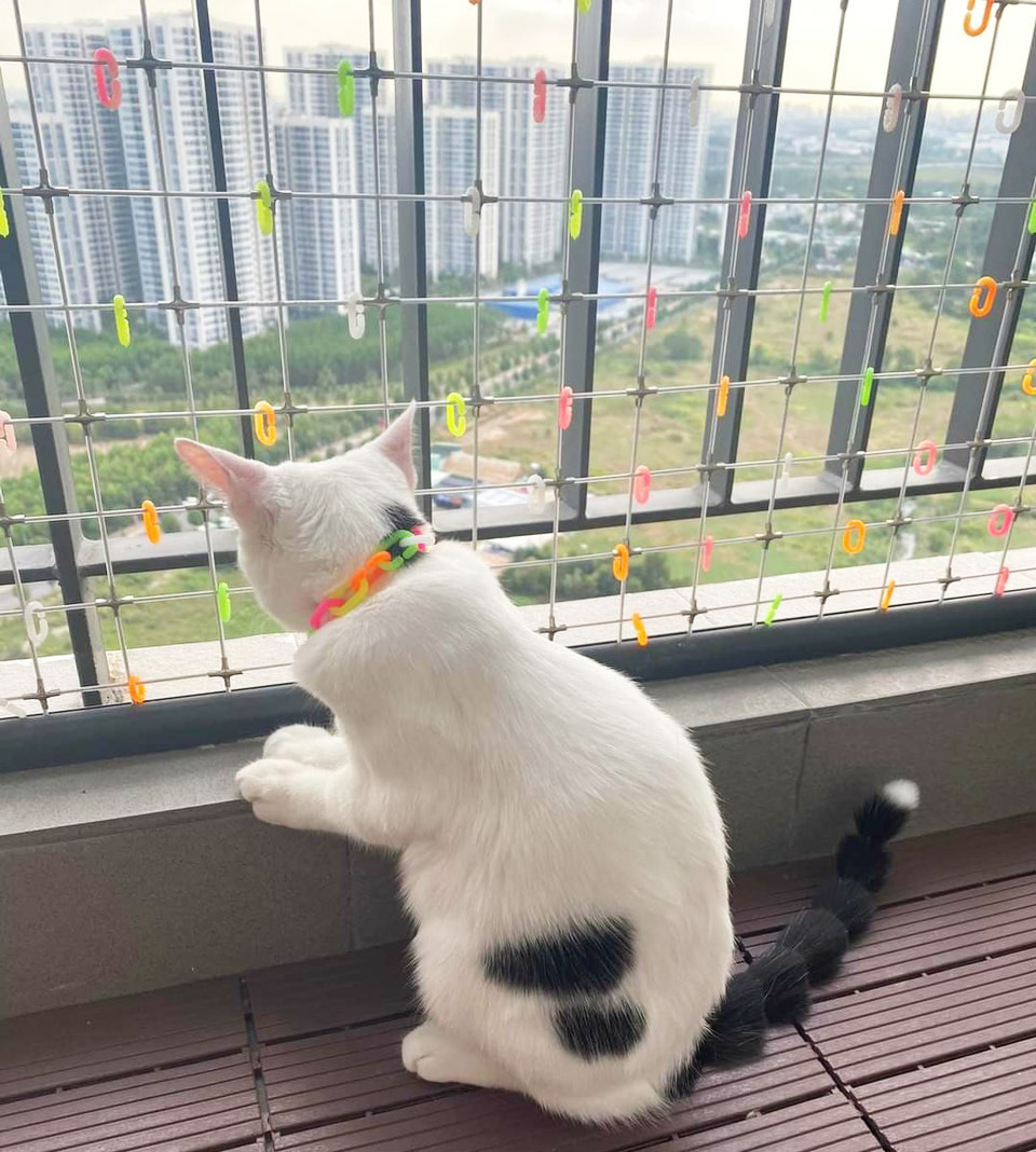 Lưới chắn ban công cho mèo — tùy kích thước