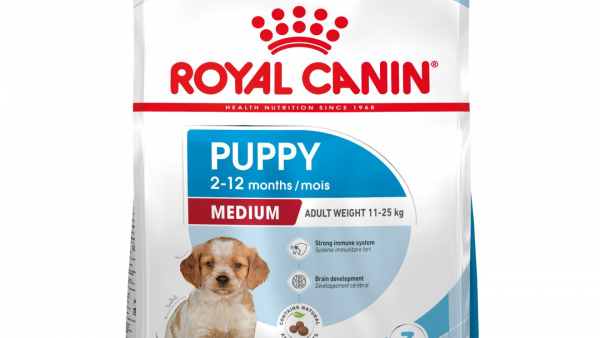 Thức Ăn Cho Chó Corgi — Chuẩn Dinh Dưỡng Theo Tháng Tuổi 2026