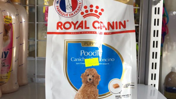 Thức Ăn Cho Chó Poodle Chuẩn Dinh Dưỡng — Theo Tháng Tuổi 2026