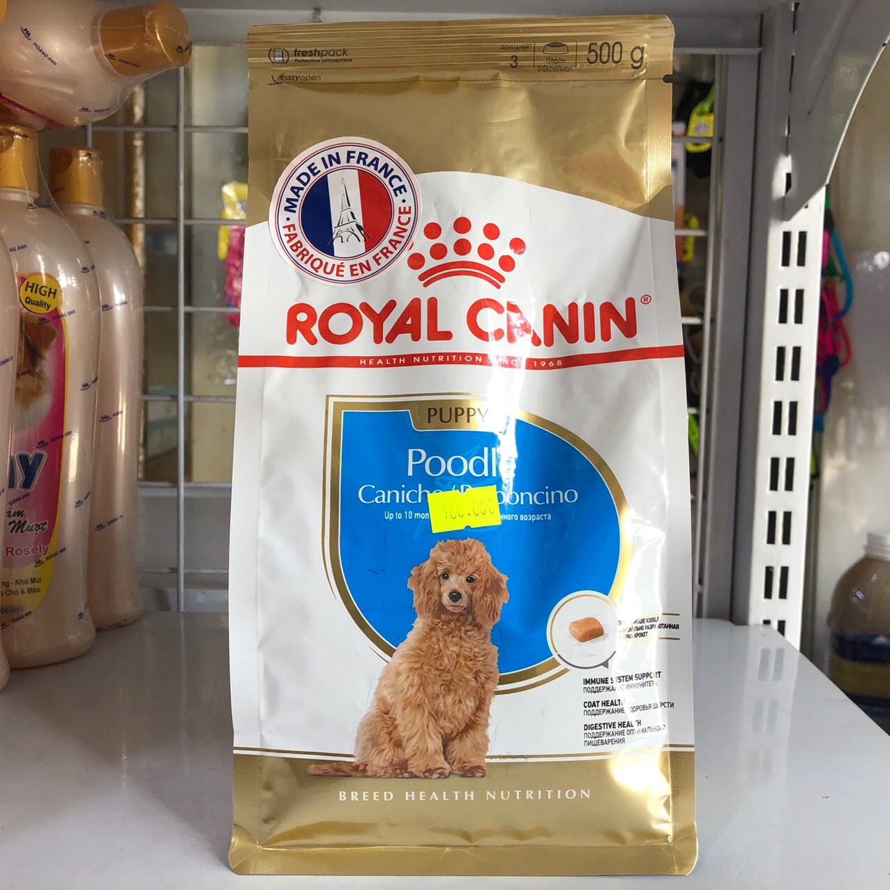 Royal Canin Poodle Junior — 500g