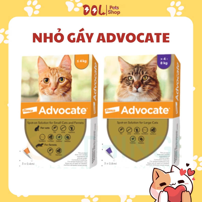 Advocate (Imidacloprid + Moxidectin) — mèo hoặc chó