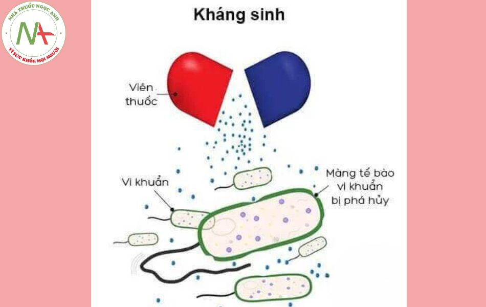 Kao Pet — Thuốc cầm tiêu chảy cho mèo/chó