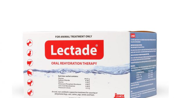 Lectade Cat — Bột bù điện giải cho mèo