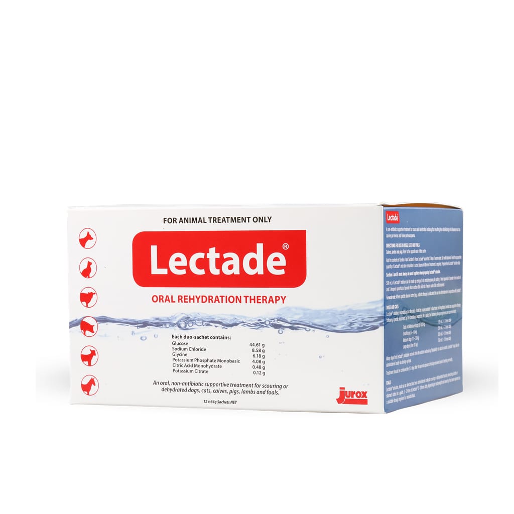 Lectade Cat — Bột bù điện giải cho mèo