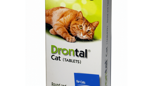 Drontal Cat — Viên 1 viên/mèo