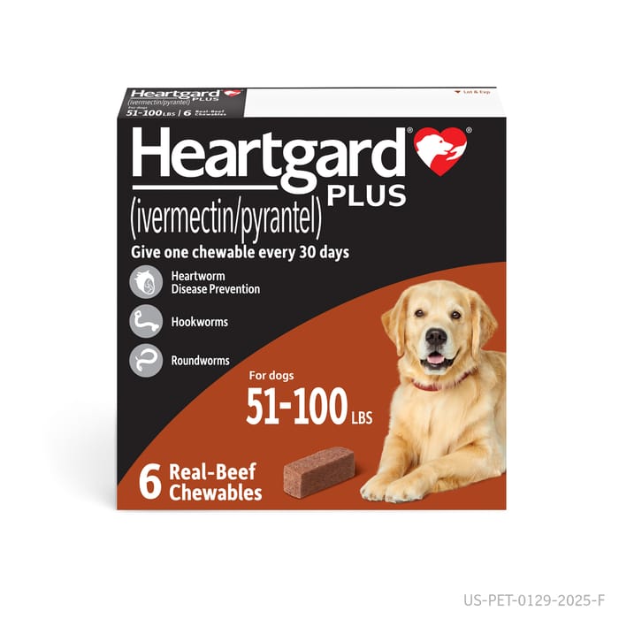 Heartgard Plus Chewable — 6 viên