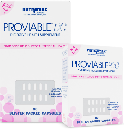 Proviable-DC Nutramax — 80 viên