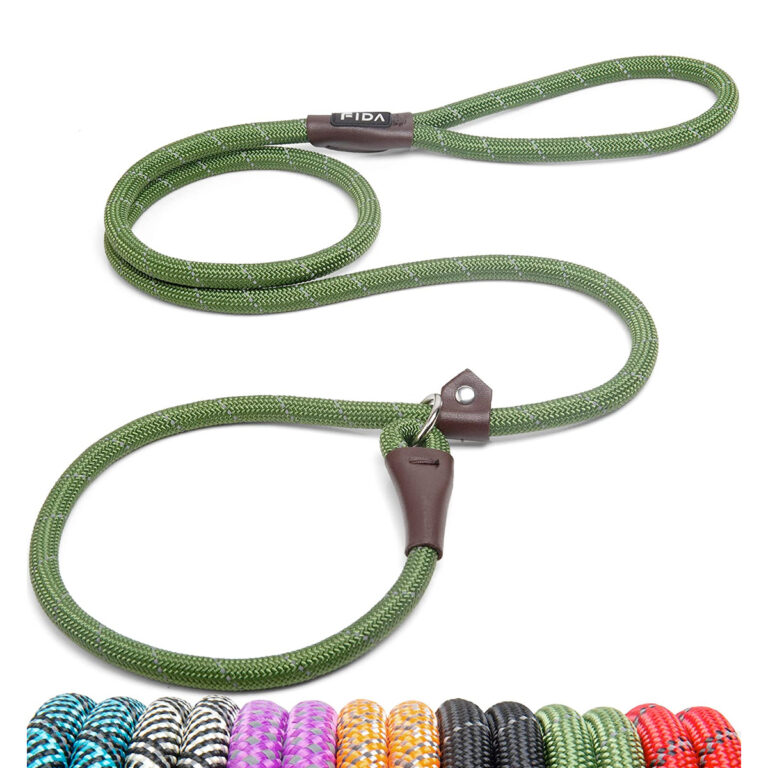 Slip Lead Training Leash