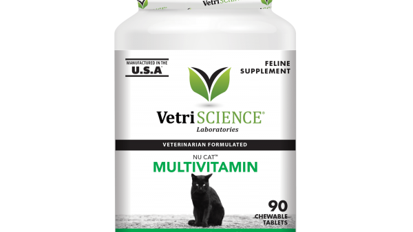Vitamin Cho Mèo Ốm Biếng Ăn — Loại Nào Hiệu Quả Nhất 2026