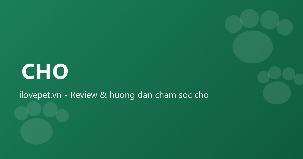 ilovepet.vn