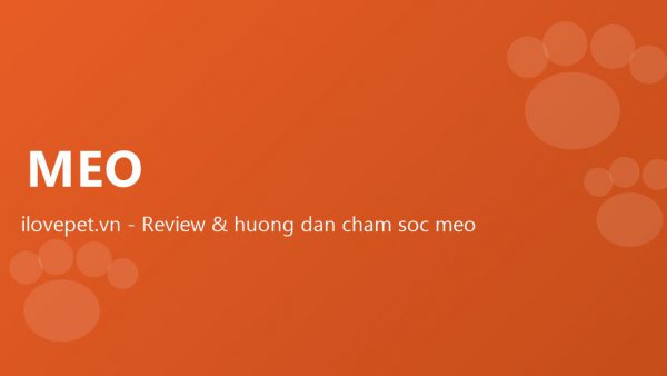 ilovepet.vn